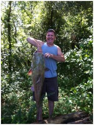 42 lb Flat Head