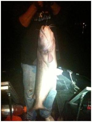 22lb Arkansas Blue